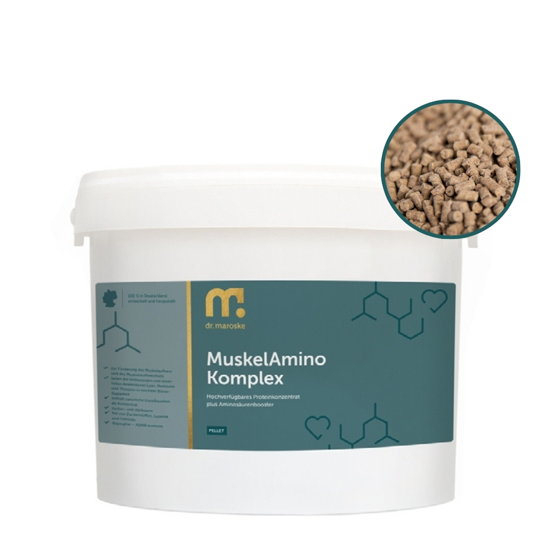 MuskelAmino Komplex – Protein & Aminosäuren für sichtbare Muskelkraft