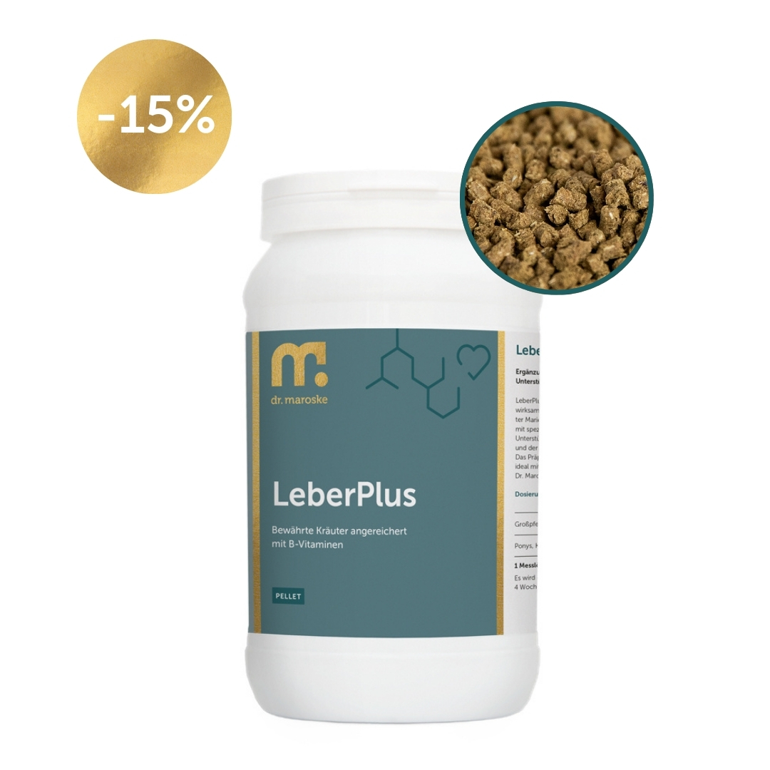 LeberPlus – Die natürliche Leberkur für Pferde