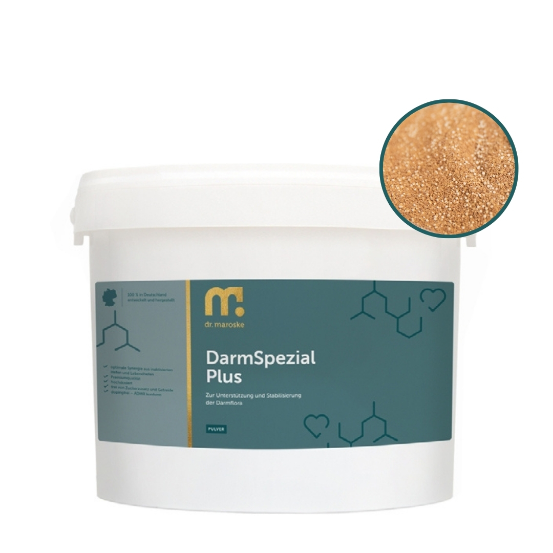 DarmSpezial Plus – Darmkur mit 2 Hefen für den optimalen Effekt im Darm