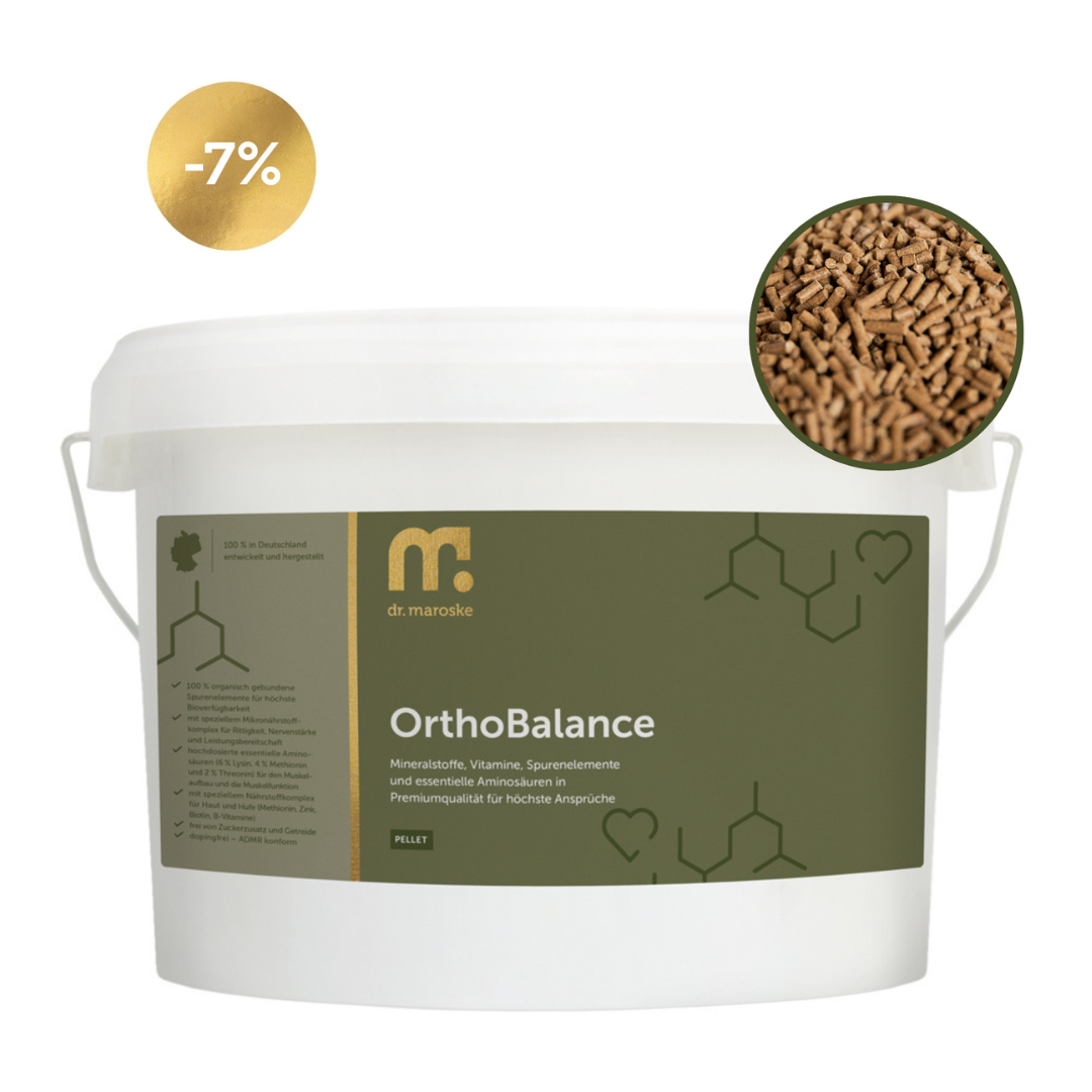 OrthoBalance – mehr als ein Mineralfutter für Nervenstärke, Rittigkeit und Leistungspotenzial