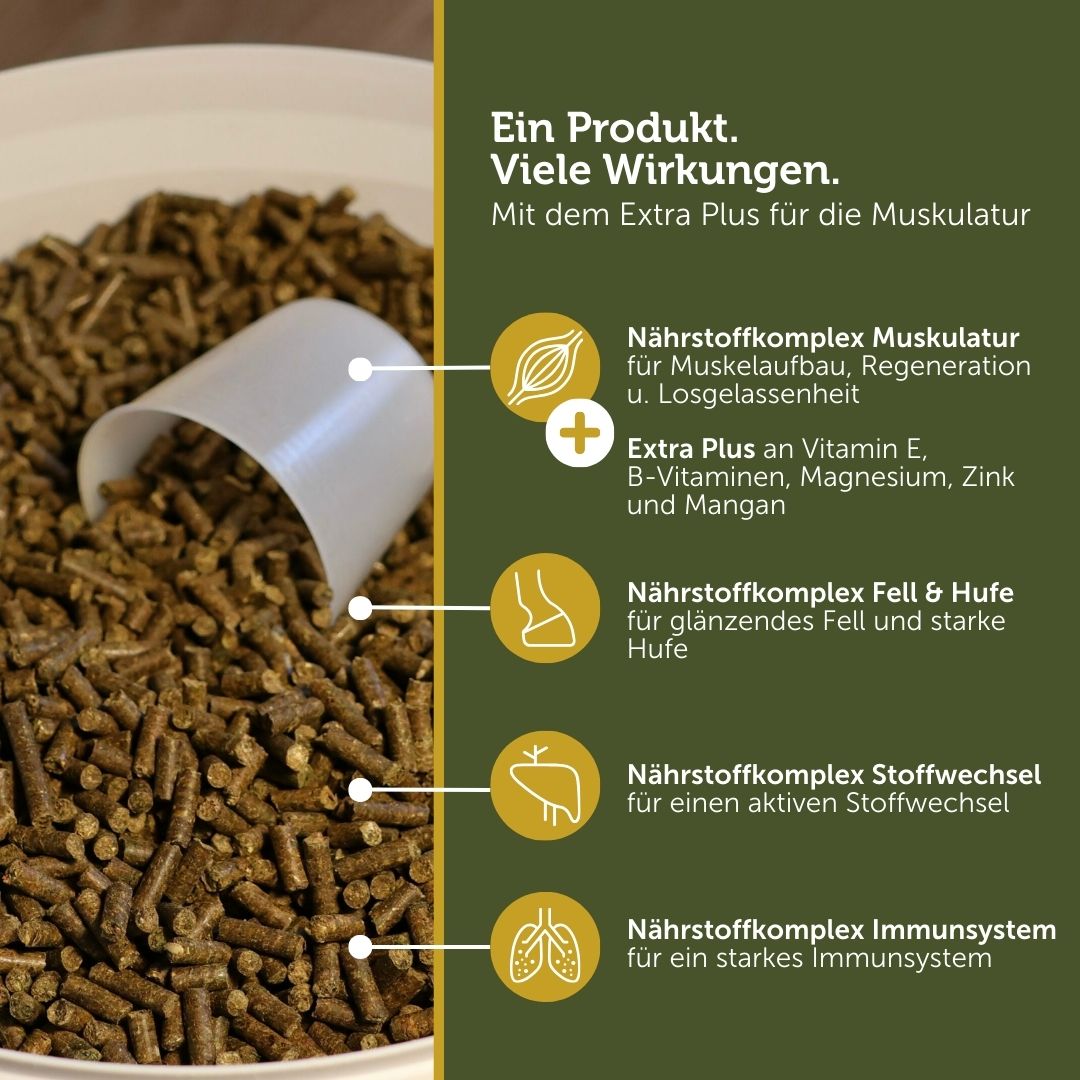 Complex 711 MuskelSpezial - Mineralfutter plus Muskelaufbau – Bild 2