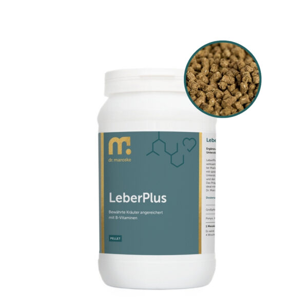LeberPlus – Die natürliche Leberkur für Pferde