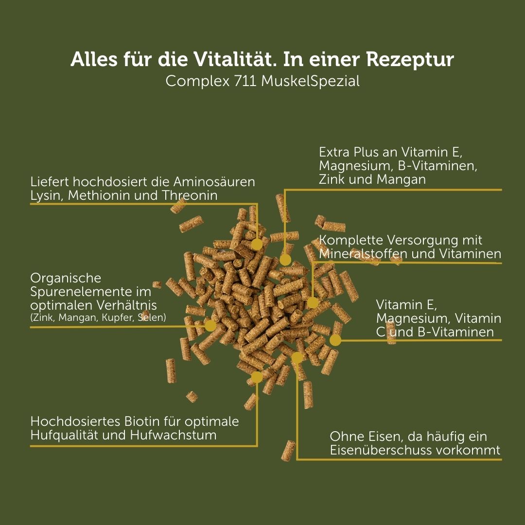 Complex 711 MuskelSpezial - Mineralfutter plus Muskelaufbau – Bild 4