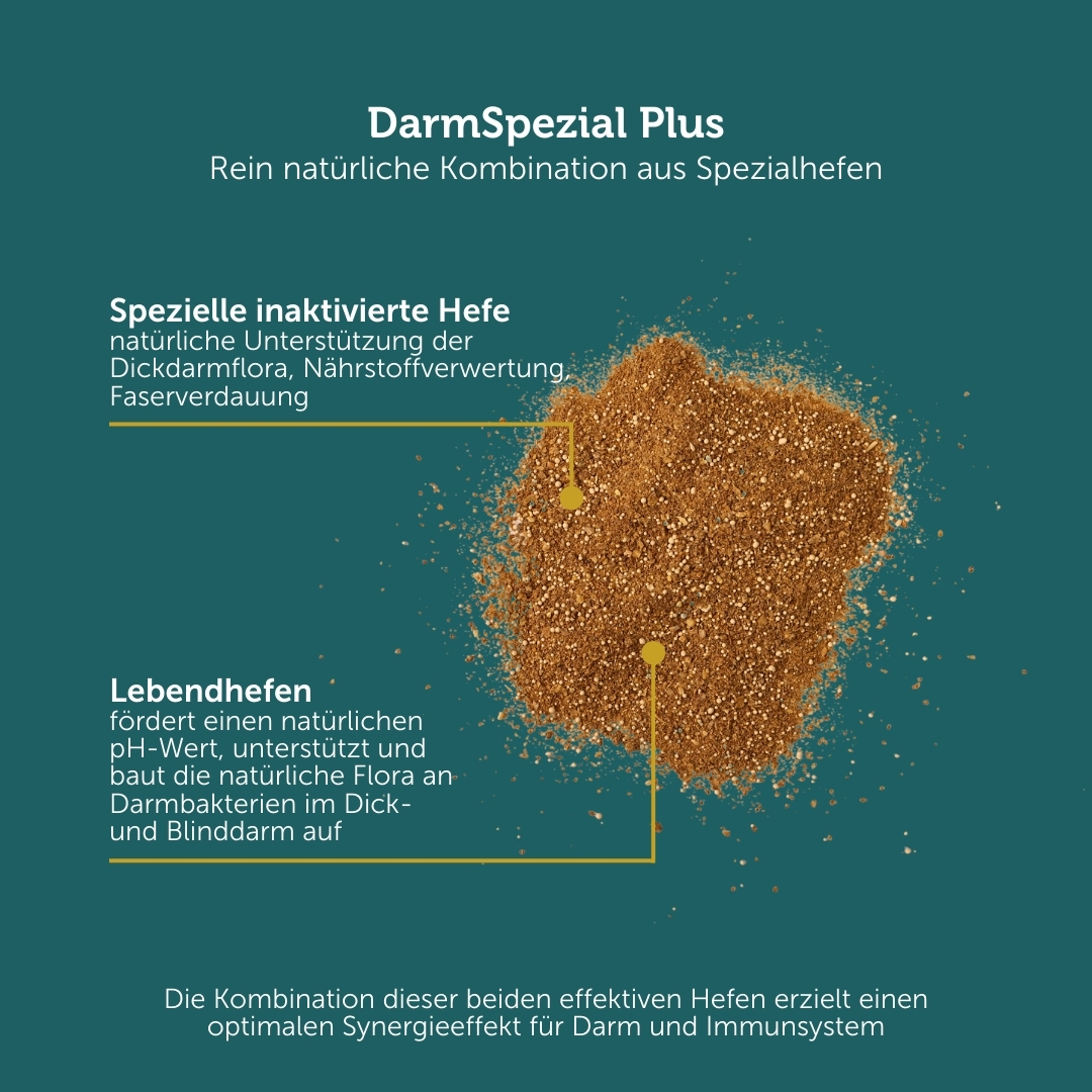 DarmSpezial Plus – Darmkur mit 2 Hefen für den optimalen Effekt im Darm – Bild 4