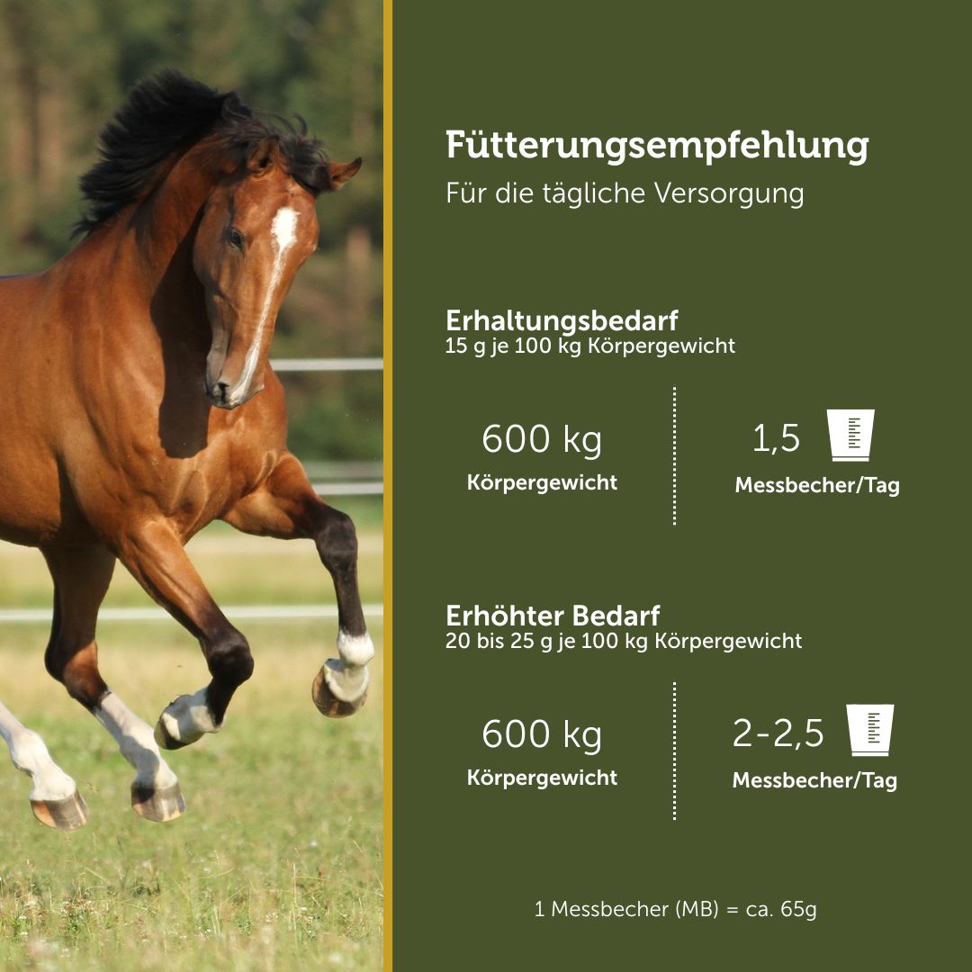 Complex 711 MuskelSpezial - Mineralfutter plus Muskelaufbau – Bild 6