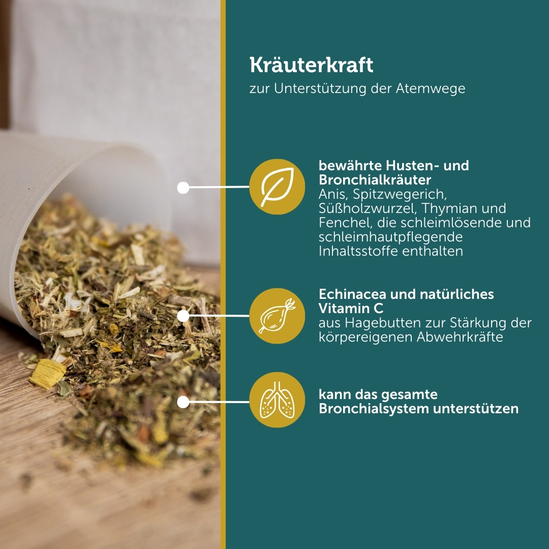Atemwegskräuter – Hustenkräuter für Pferde – Bild 2