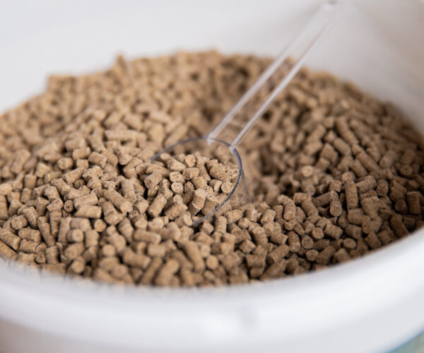 MagenSensitiv – Bild 2