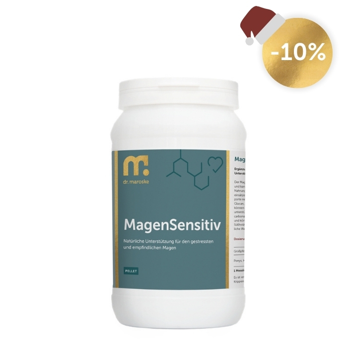 MagenSensitiv