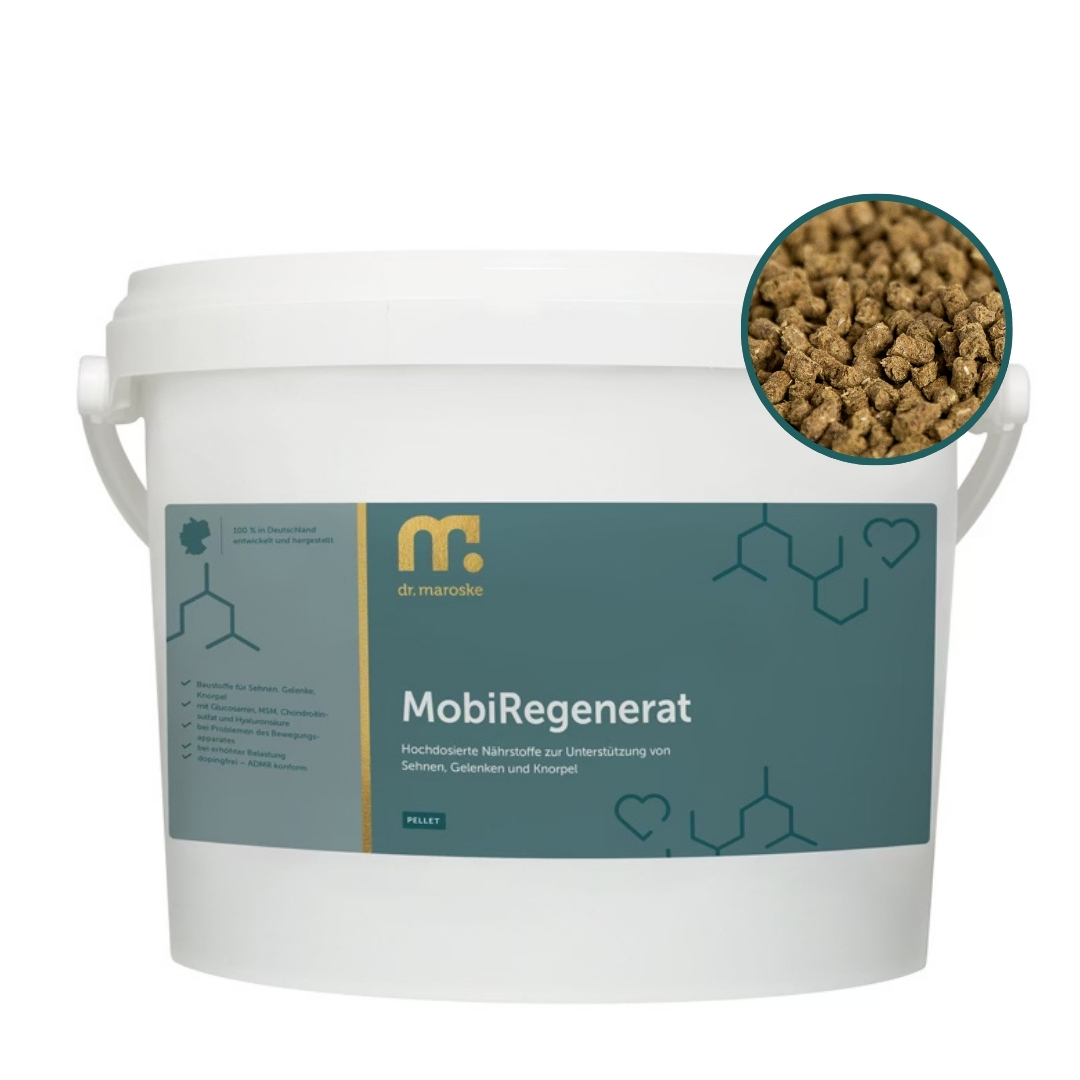 MobiRegenerat – Gelenk- & Sehnenkur für Pferde