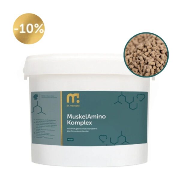 MuskelAmino Komplex – Protein & Aminosäuren für sichtbare Muskelkraft